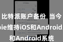 比特派账户备份  当今Bitpie维持iOS和Android系统