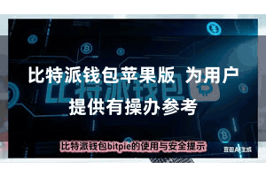 比特派钱包苹果版  为用户提供有操办参考