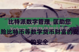 比特派数字管理  匡助您保险比特币等数字货币财富的安全