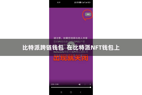 比特派跨链钱包  在比特派NFT钱包上