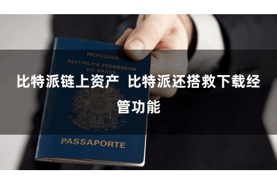 比特派链上资产  比特派还搭救下载经管功能